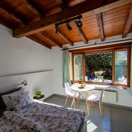 Rustico Al Sole - Just Renewed 1Bedroom Home In Ronco Sopra Ascona Buitenkant foto