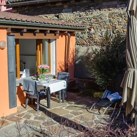 Rustico Al Sole - Just Renewed 1Bedroom Home In Ronco Sopra Ascona Buitenkant foto