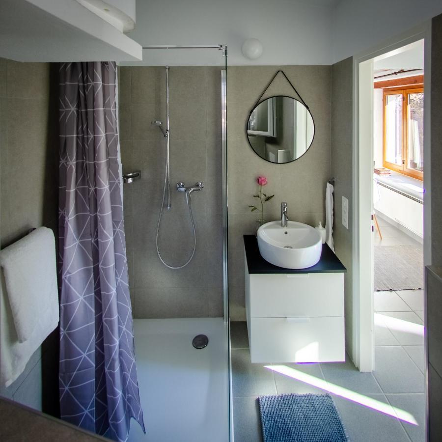 Rustico Al Sole - Just Renewed 1Bedroom Home In Ronco Sopra Ascona Buitenkant foto